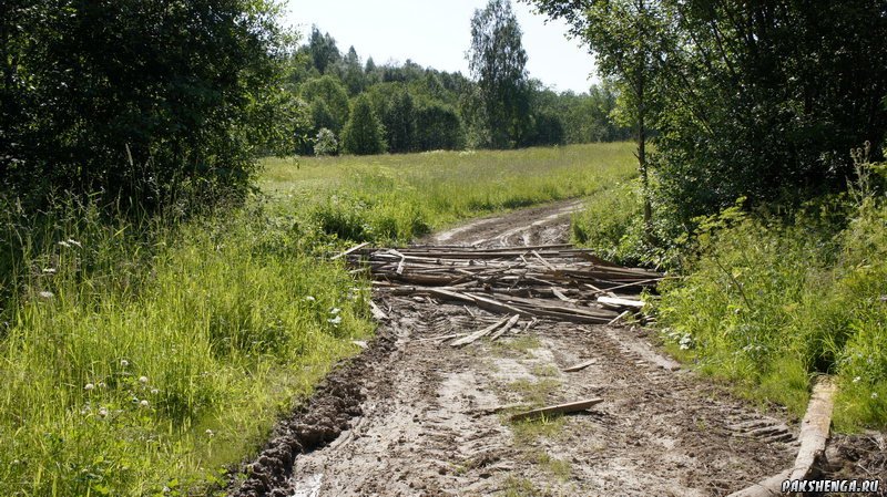 Дорога на Слюшино